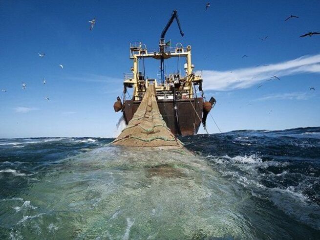 مجلس دنبال ممنوعیت دائمی صید ترال صنعتی است